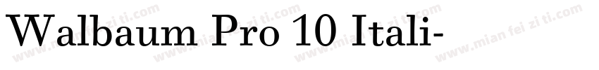 Walbaum Pro 10 Itali字体转换